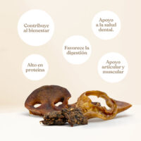 Pack training beneficios