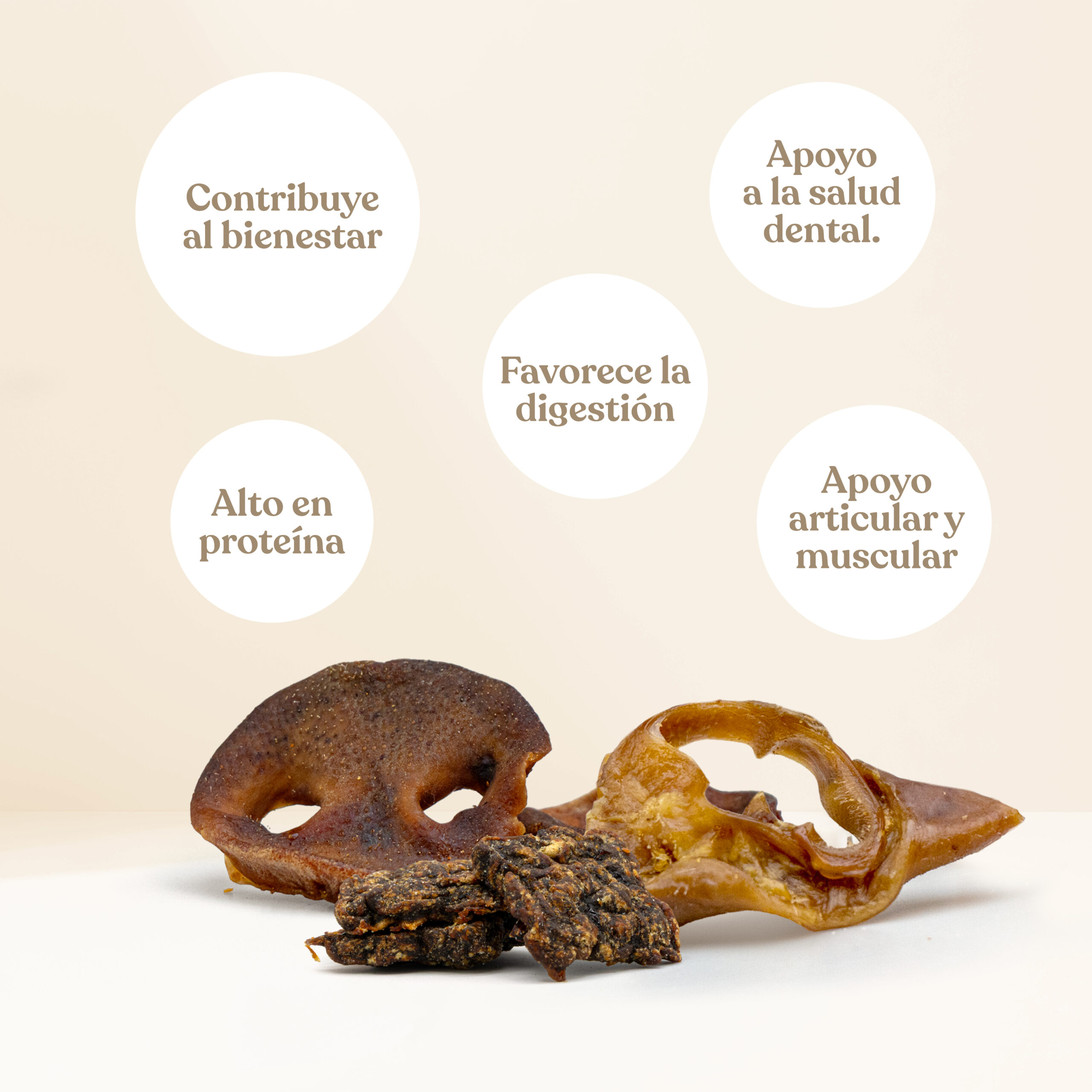 Pack training beneficios scaled